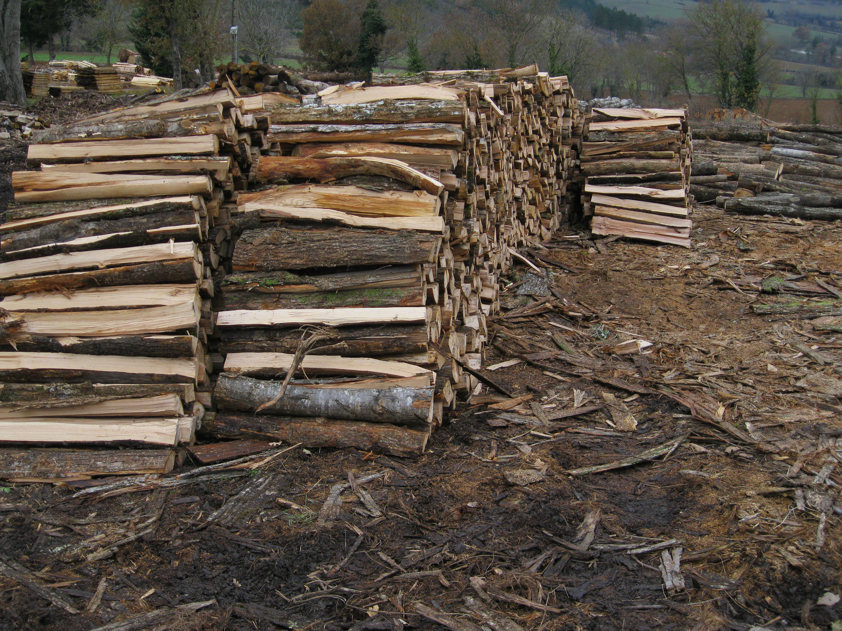 VIALA BOIS - Bois de chauffage - Châtaignier en 1 m coupé et refendu, sec de  5 ans