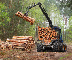 Bois de chauffage à Béziers