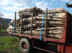 Piquet en bois à Millau